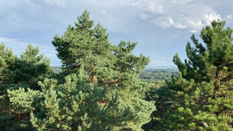      Фото: ИА «Победа26»