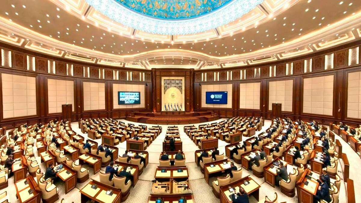 Фото пресс-службы Сената Узбекистана