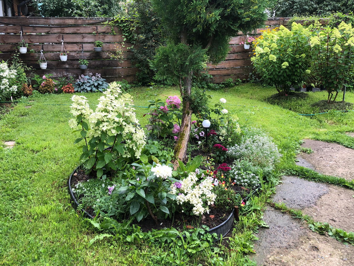 Июль 2025 год