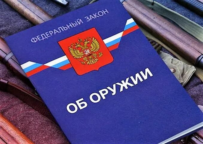    Фото: открытый источник