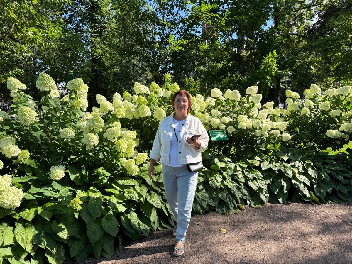 Хосты с гортензиями в Карякинском саду г.Рыбинск, август 2025