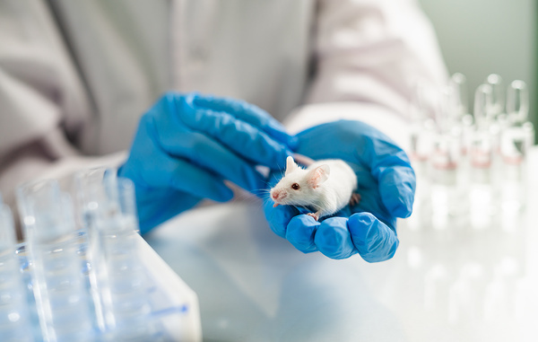 Egoreichenkov Evgenii/Shutterstock/FOTODOM