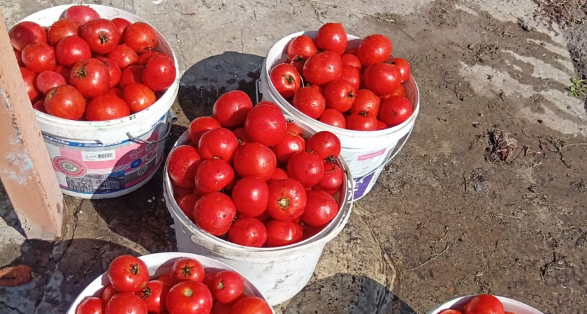    Фото irkutsk.news