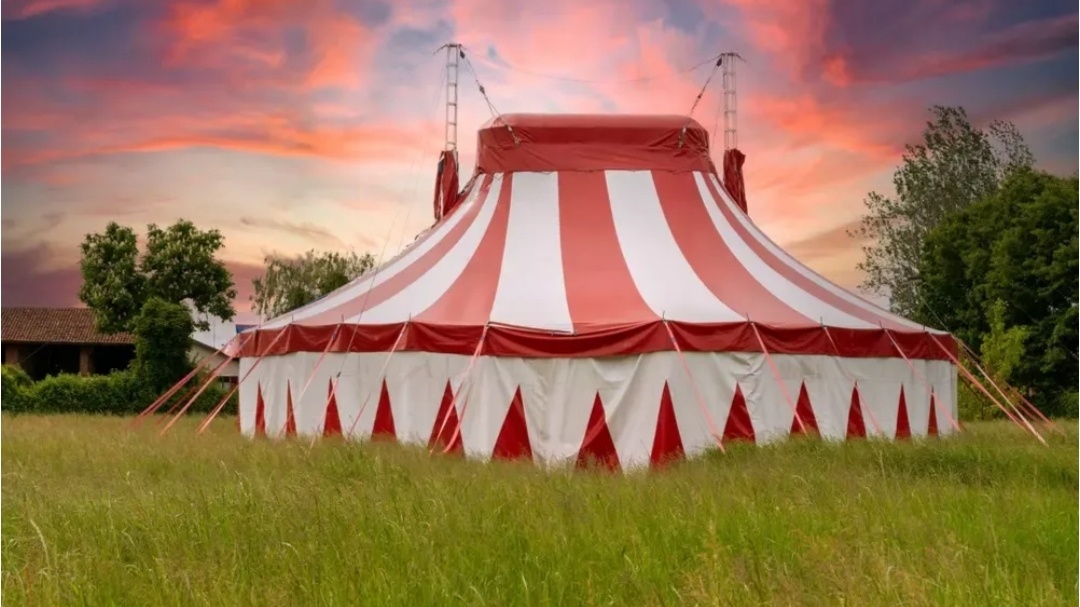 На идею с цирком-шапито меня натолкнуло почти полное совпадение силуэтов