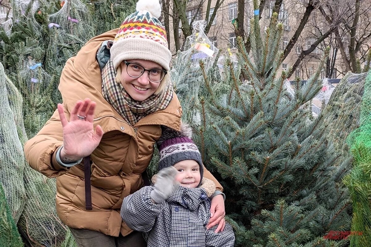    Цена напрямую зависит от внешнего вида дерева: чем красивее и пушистее - тем дороже