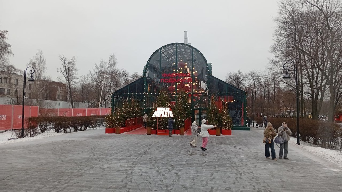 Вход на каток со сторны улицы Серафимовича