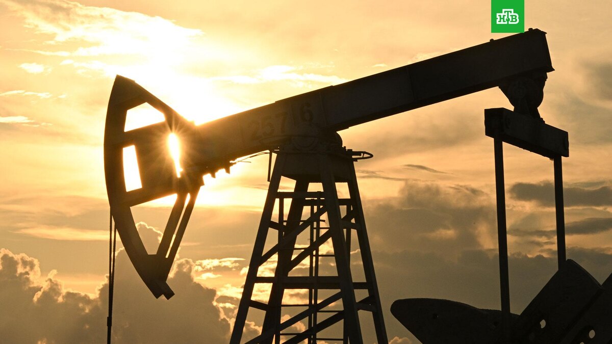    Фото: РИА Новости © 2025, Максим Богодвид