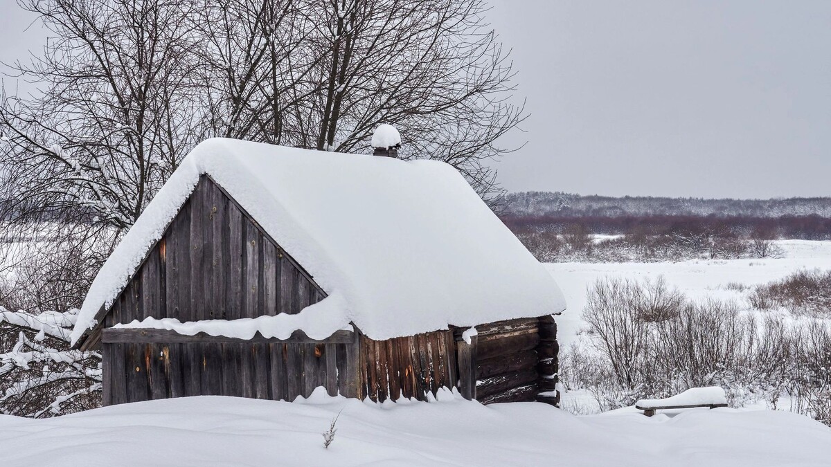    Фото: Valeriy Karpeev / Shutterstock / Fotodom