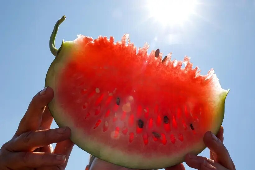     © РИА Новости. Виталий Тимкив