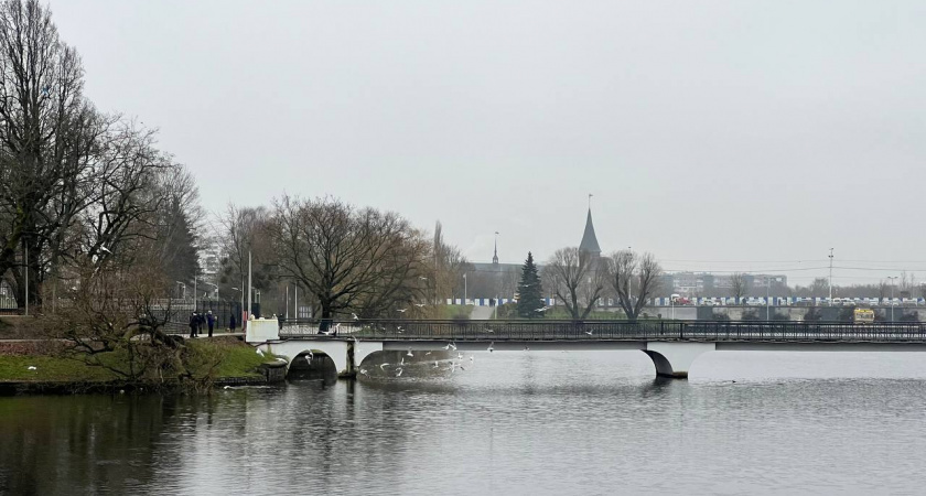    Первый городской канал Калининград