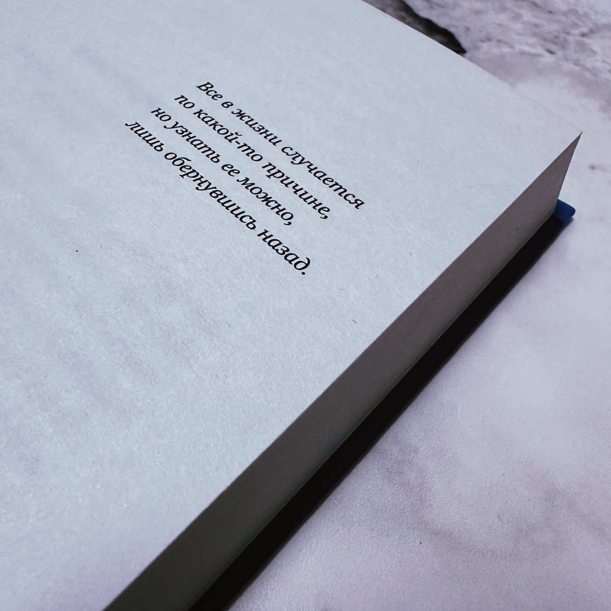 Фото Анны Карповой/Книжная лавка: жизнь любителя почитать