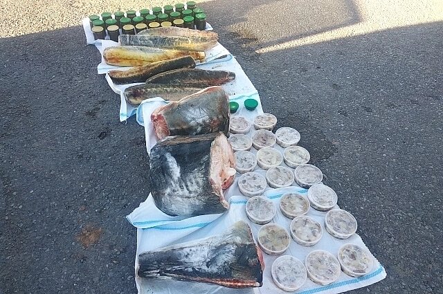    Фото: УФСБ по Волгоградской области