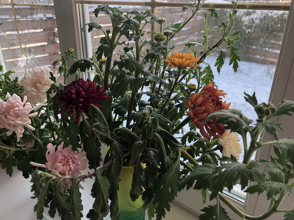 26 ноября 2022