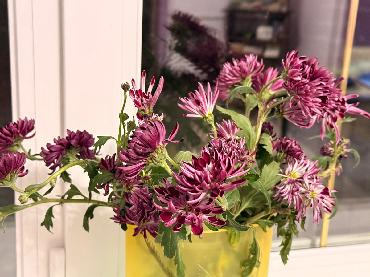 Новогодний букет, 4 января 2025