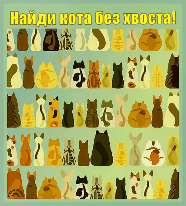 🐱 Найди кота без хвоста за рекордное время — проверь свою зоркость!