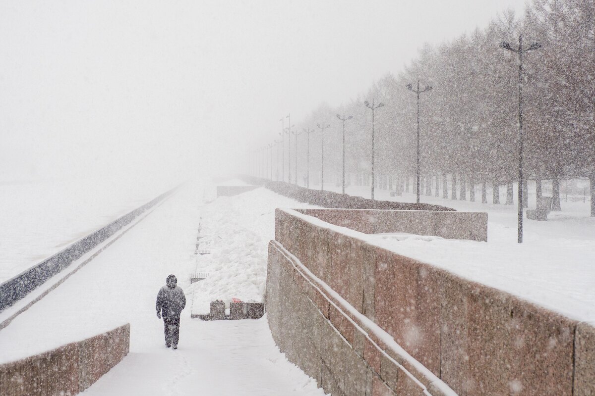 Фото: Олег Золото / «Петербургский дневник»