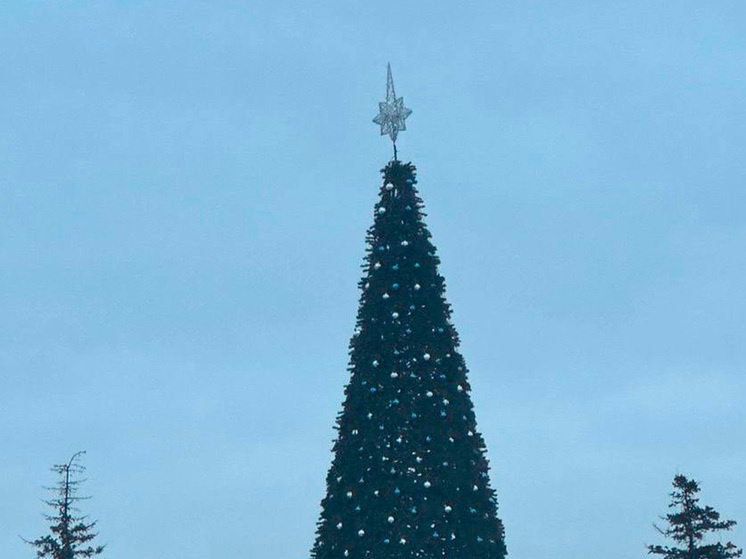     фото: Официальный Telegram-канал администрации города Липецка