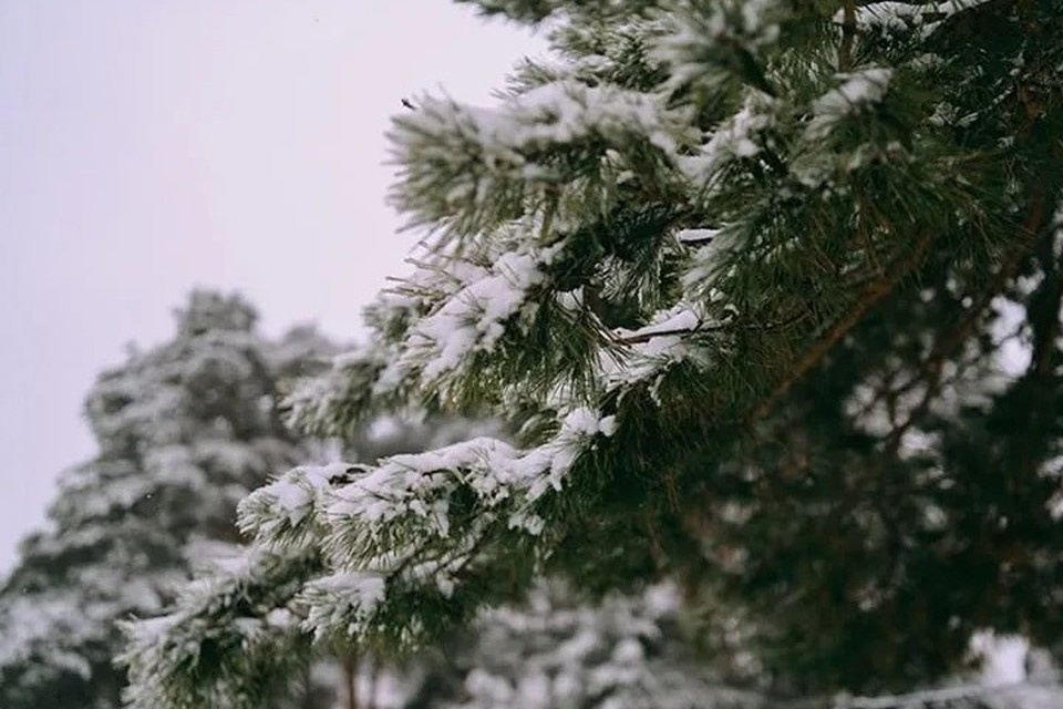    Зимние гуляния будут насыщенными. Архив «КП» в Ижевске