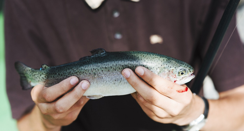    фото freepik.com