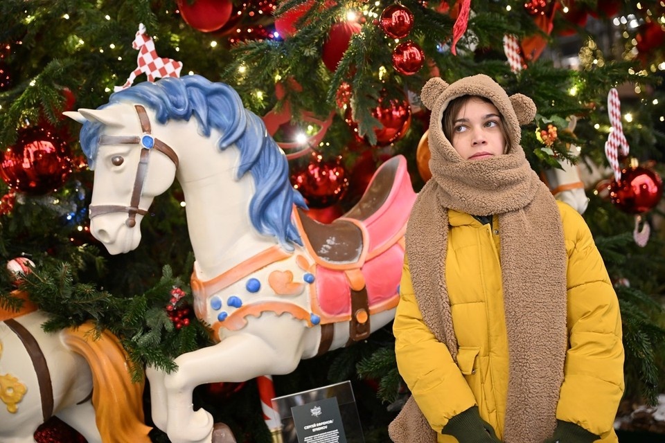    Психолог дала челябинцам советы, как подвести итоги года Иван МАКЕЕВ