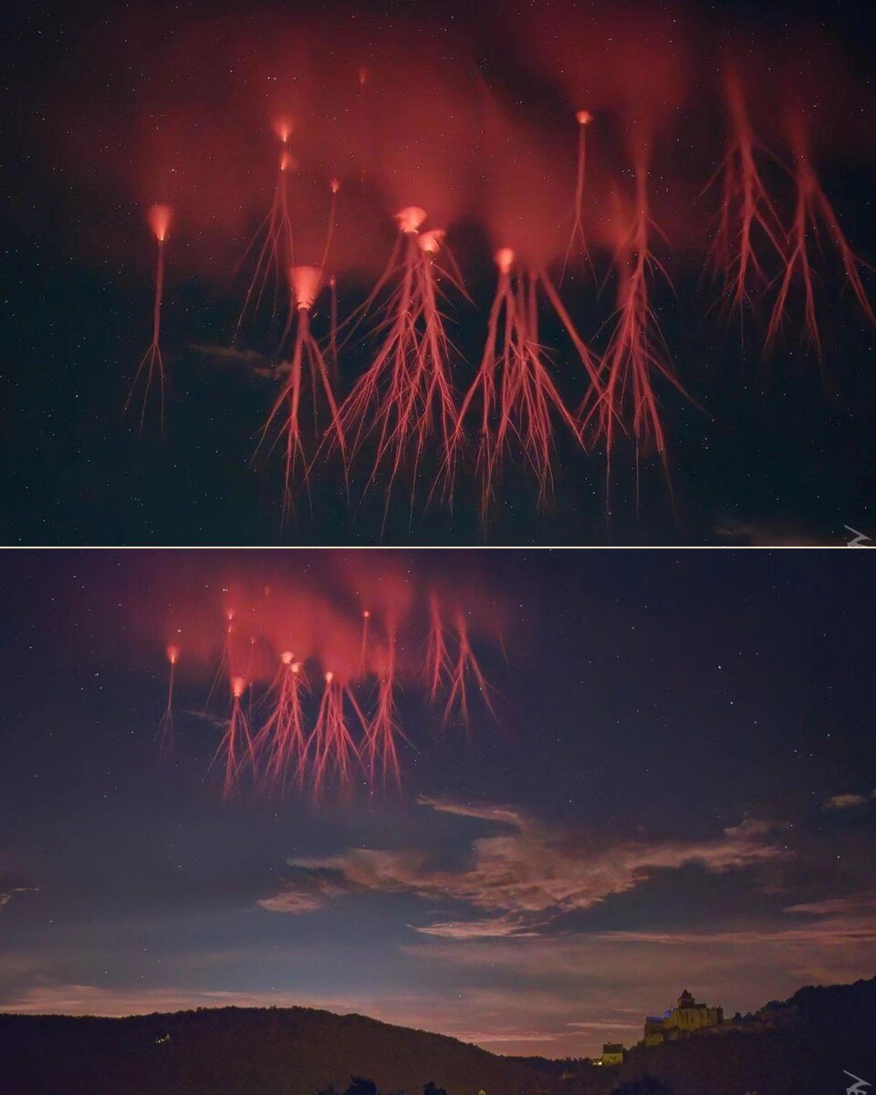 (с) Memes_FoIder / Reddit 