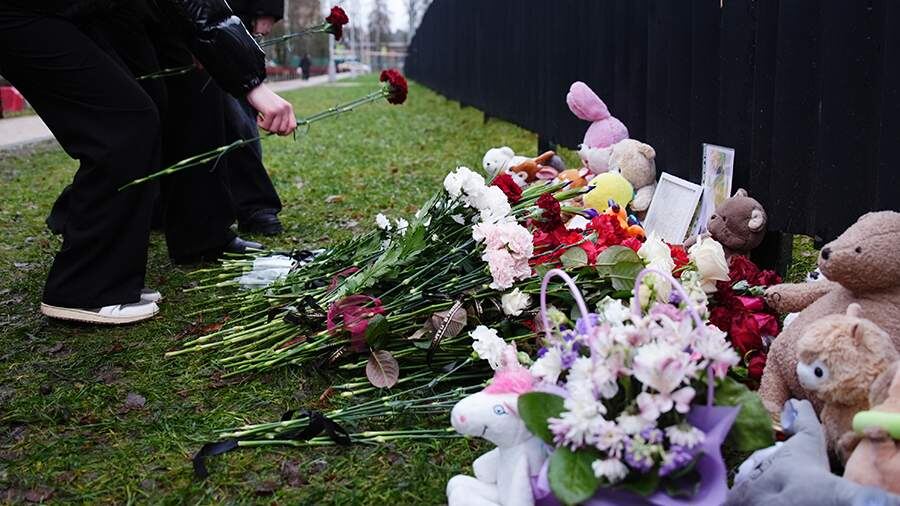    Фото: ИЗВЕСТИЯ/Сергей Лантюхов