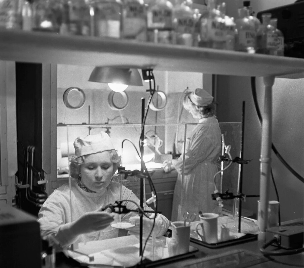 В лаборатории Московской сельскохозяйственной академии имени К. А. Тимирязева. Архивное фото | © РИА Новости / И. Астров