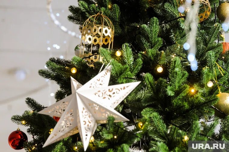 В Новый год можно собраться большой компанией и поиграть дома или на улице

Фото: Вадим Ахметов © URA.RU