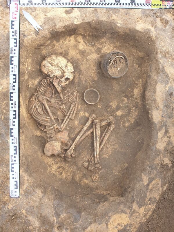    Фото: управление по охране ОКН по Воронежской облатси