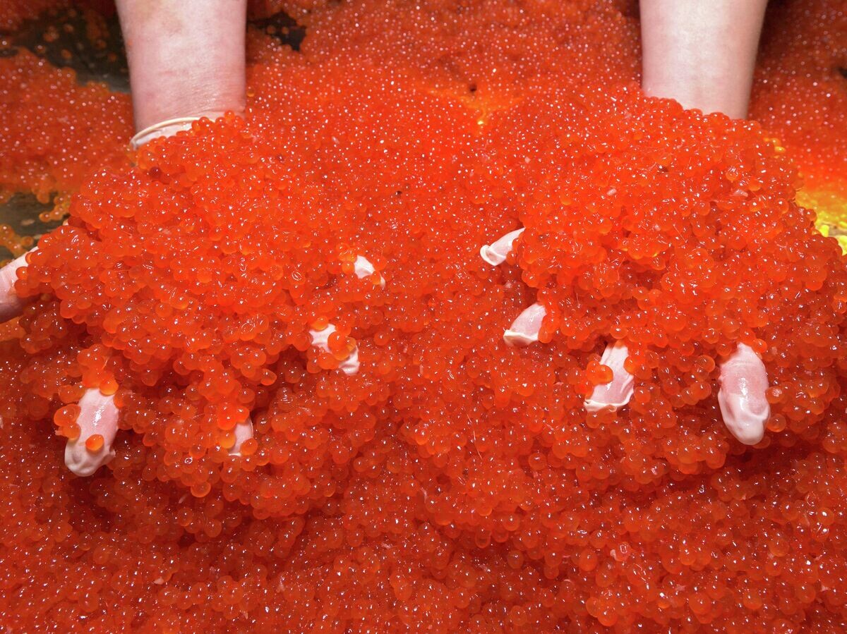    Производство красной икры | © РИА Новости / Александр Пирагис