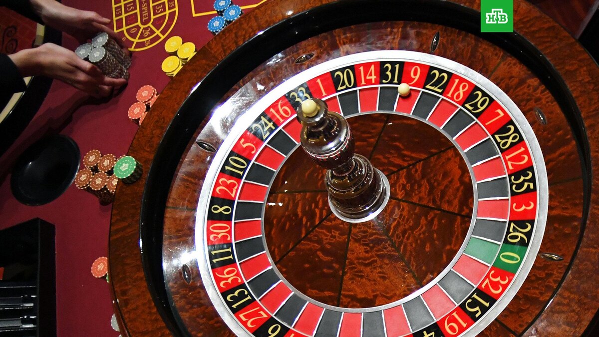    Фото: РИА Новости © 2025, Виталий Аньков