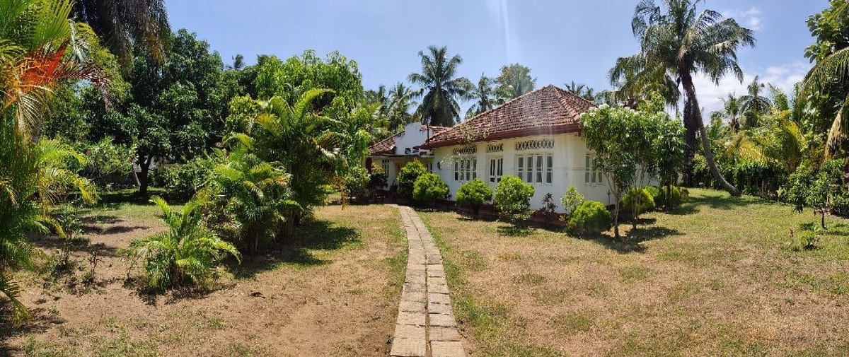 Мой тропический дом