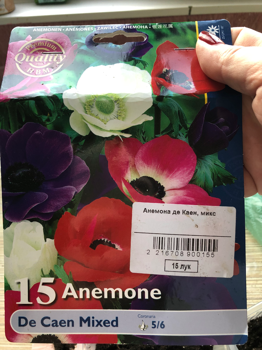 Пакет с анемонами, 2020 год