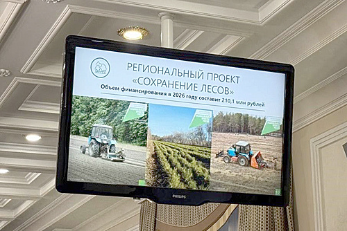    /  ФОТО donland.ru Администратор