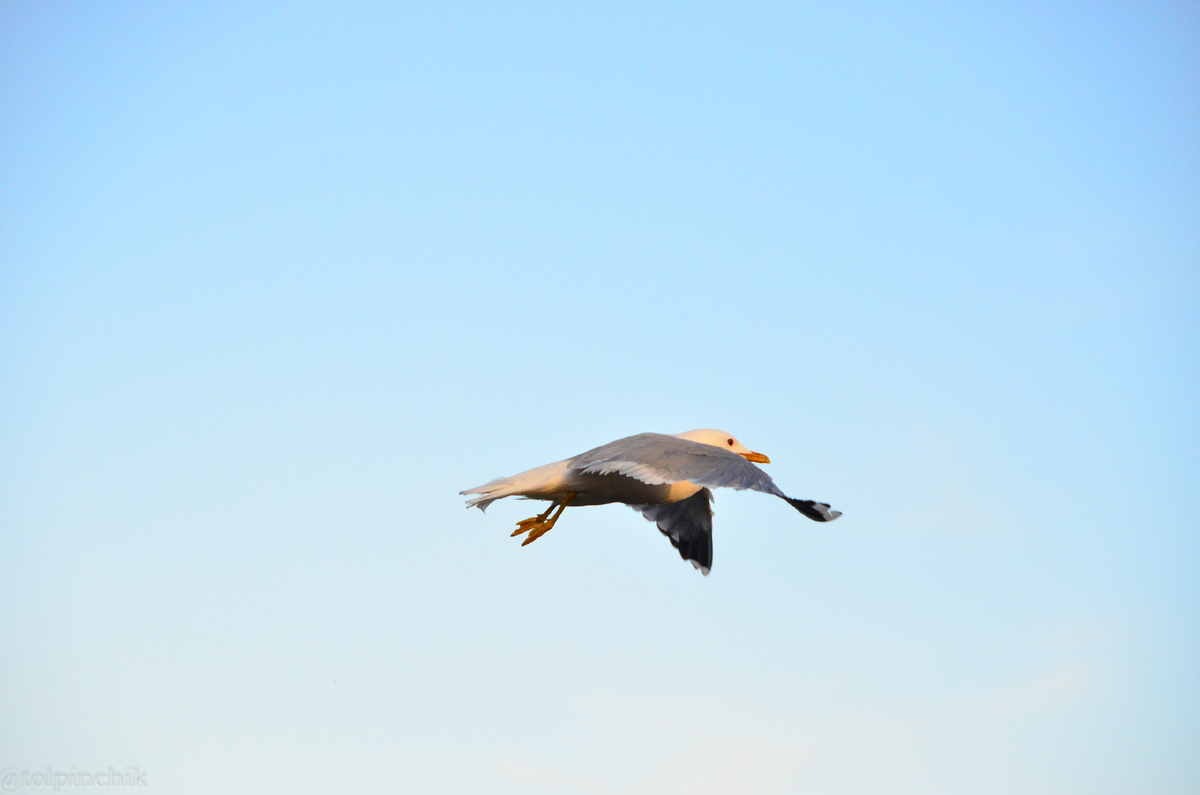 Автор фото: Полина Комарова