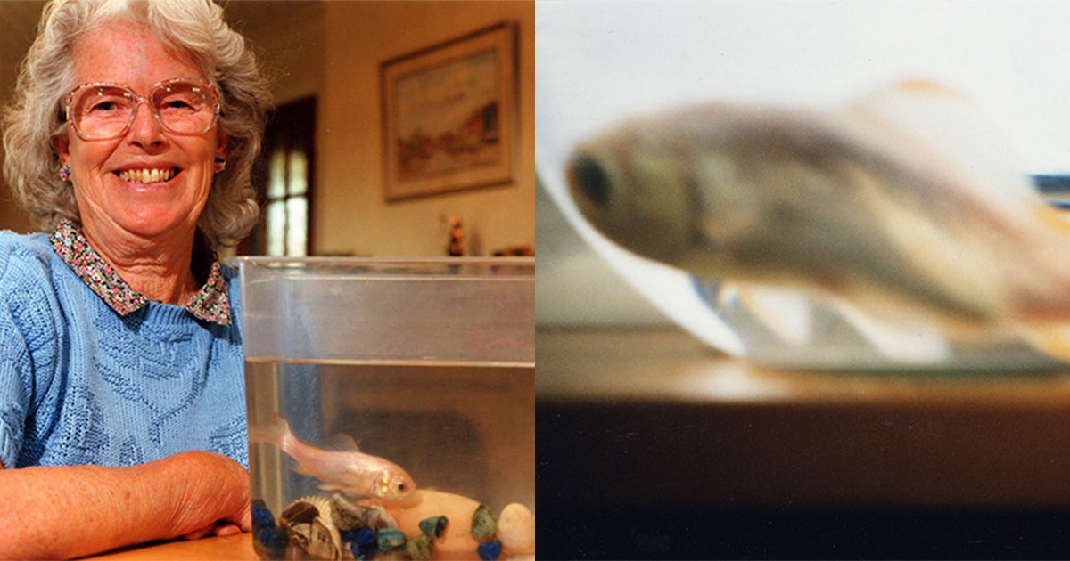 Guinness World Records