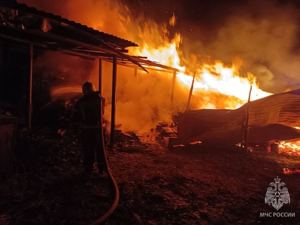    Предварительно причинами стали неосторожное обращение с огнём и нарушение эксплуатации