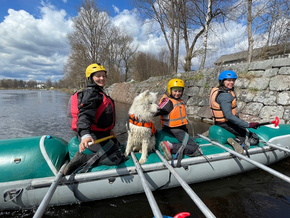 Автор фото: Илья Дмитриев