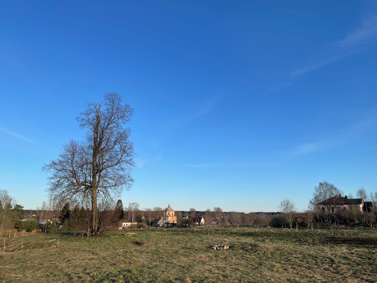 Автор фото: Илья Дмитриев