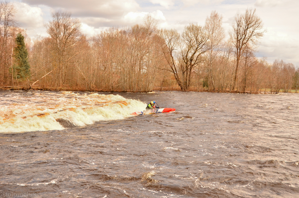 Автор фото: Полина Комарова