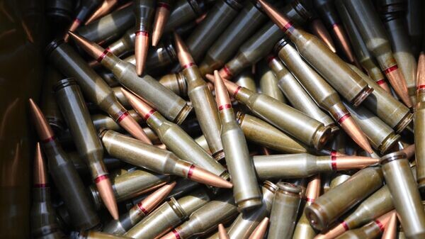    © Sputnik / Илья Питалев