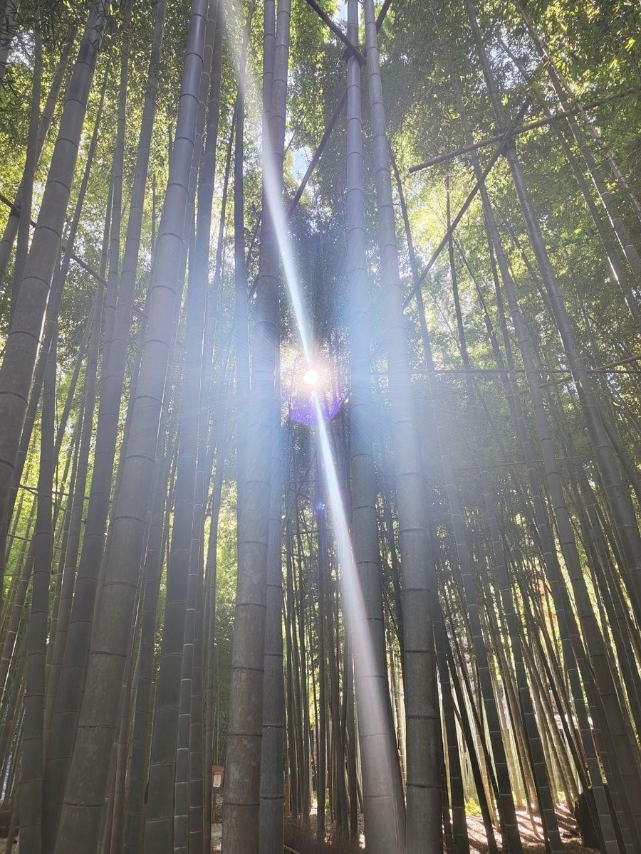 Фото: Елена Хилюшкина