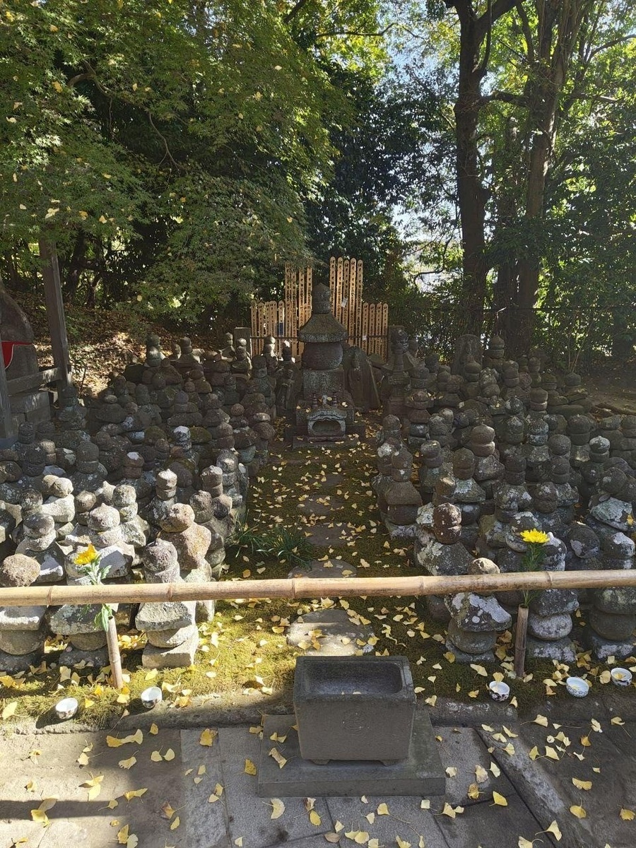 Фото: Елена Хилюшкина