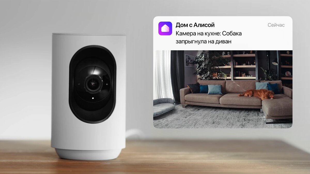 Источник: «Яндекс»