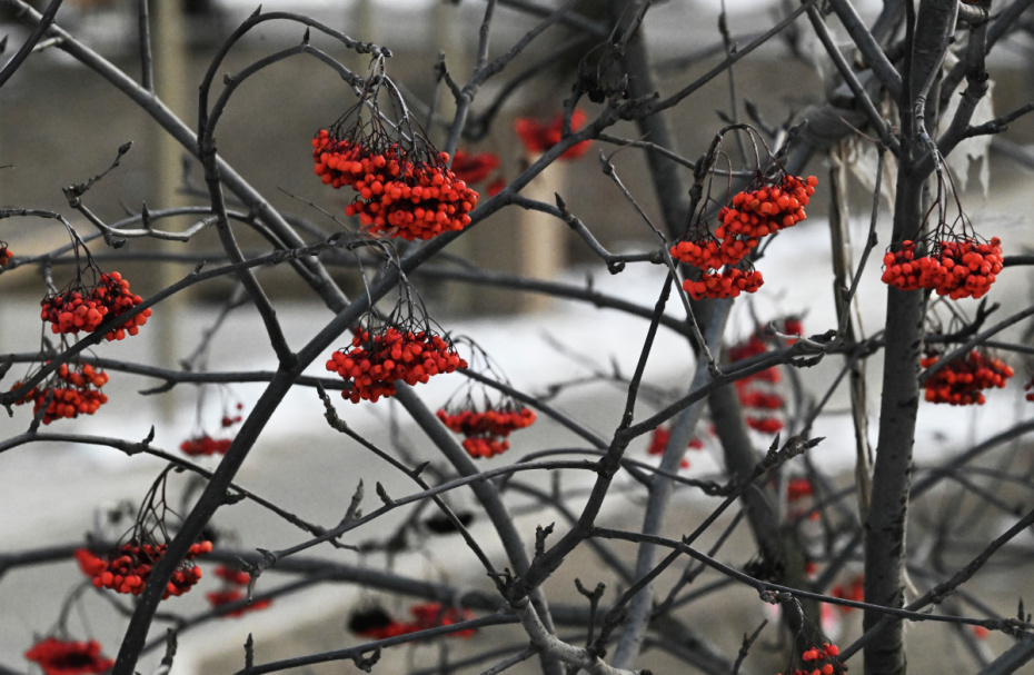    Виталий Аньков/РИА Новости