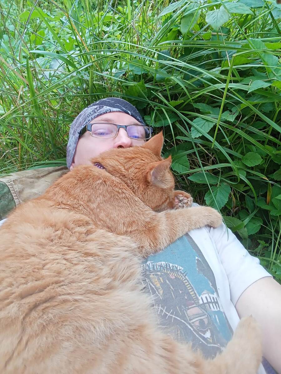 В отпуске муж часть дня проводит с котиками в их специальном прогулочном вольере