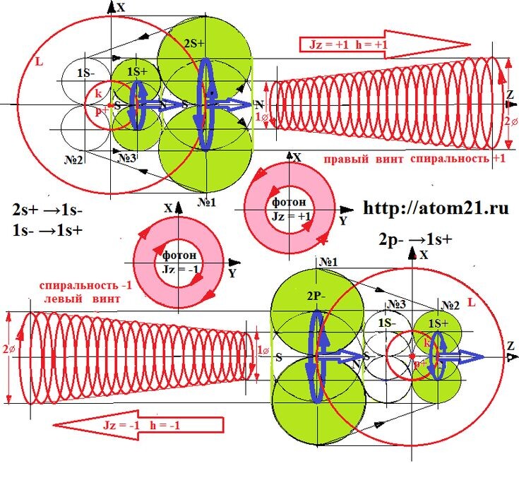 Рис.1. Спиральность фотона может принимать два значения +1 или -1.