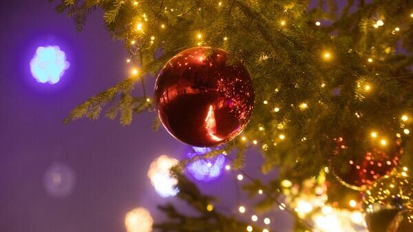    © Sputnik / Михаил Авагимов