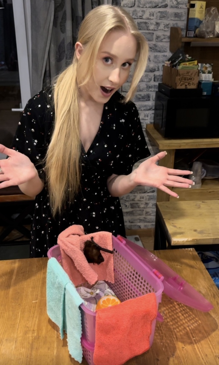    У Люси есть своя корзинка, где она зимует. из архива героя публикации