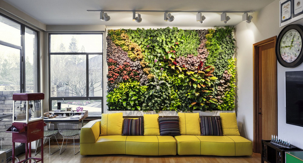 Как вертикальные сады и зелёные стены могут изменить восприятие пространства